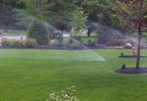 irrigation picture 3